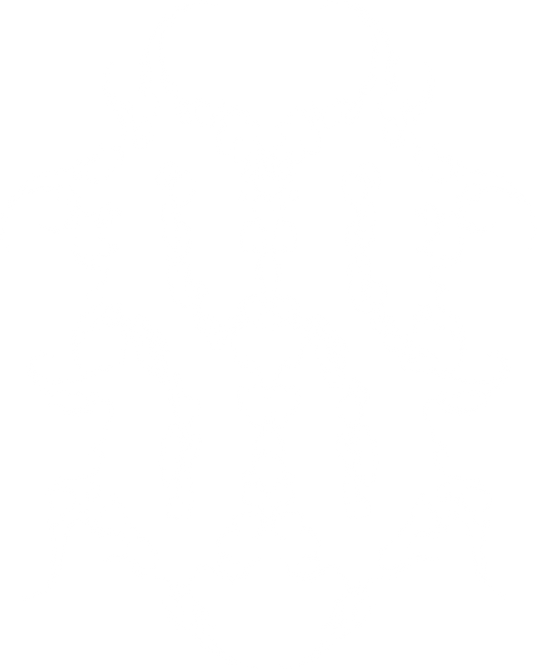 SaveSanity logo